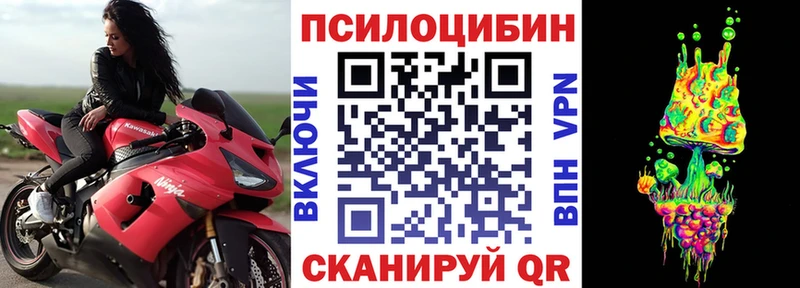 гидра ссылки что такое Теберда Галлюциногенные грибы Psilocybe