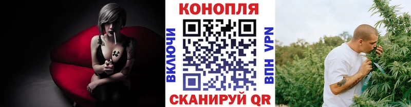 Конопля OG Kush  Теберда 